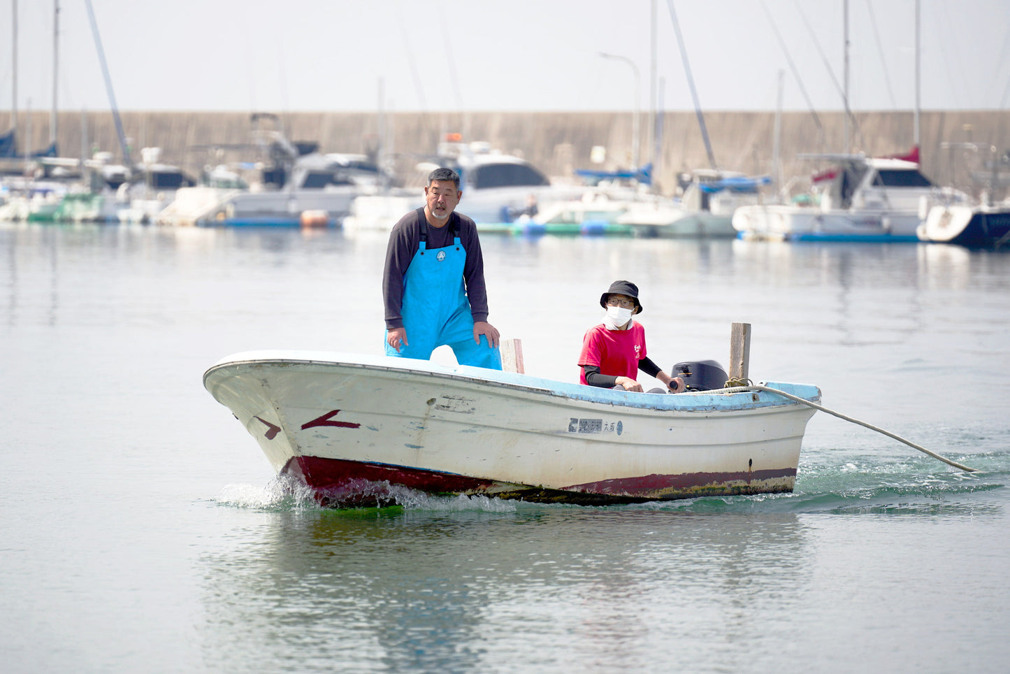 [Template] Sennan City's unique beach seine fishing experience and seafood barbecue